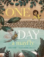 ONE DAY A MAYFLY