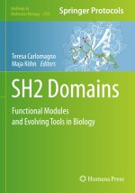 SH2 Domains