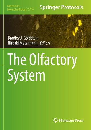 The Olfactory System
