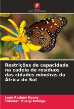 Restriç?es de capacidade na cadeia de resíduos das cidades mineiras da África do Sul