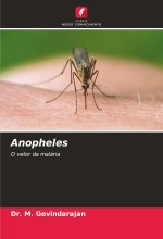 Anopheles