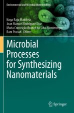 Microbial Processes for Synthesizing Nanomaterials