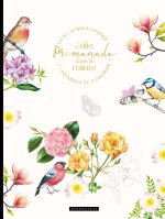 Coloriage Oiseaux