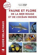 Faune et flore de la mer Rouge