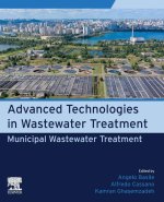 Municipal Wastewater Treatment