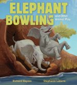 ELEPHANT BOWLING & OTHER ANIMAL PLAY