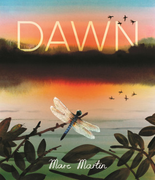 DAWN