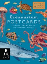 OCEANARIUM POSTCARD BOX SET