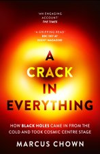 Crack in Everything