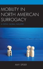 Mobility in North American Surrogacy: A Fertile Global Industry