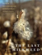 Last Milkweed