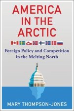America in the Arctic