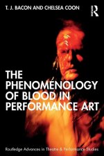 Phenomenology of Bloody Performance Art