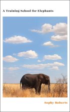 Training School for Elephants