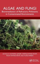 Algae and Fungi