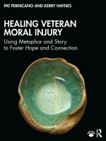 Healing Veteran Moral Injury