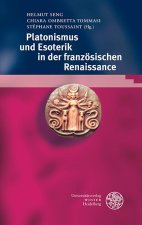 Platonismus und Esoterik in der französischen Renaissance