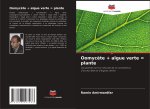 Oomycète + algue verte = plante