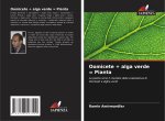 Oomicete + alga verde = Pianta