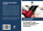 Ein Überblick über bakterielle Infektionen und ein Einblick in Antibiotika