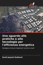 Uno sguardo alle pratiche e alle tecnologie per l'efficienza energetica