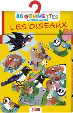 LESGOMMETTESLESOISEAUX
