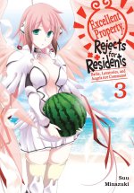 EXCELLENT PROPERTY REJECTS FOR V03