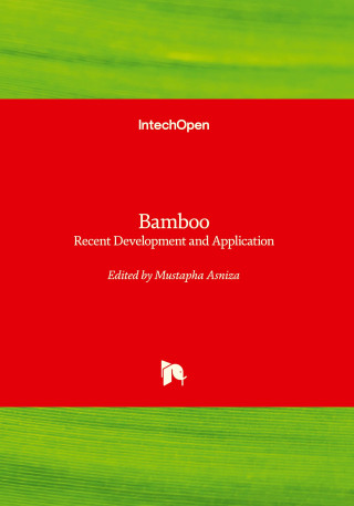Bamboo