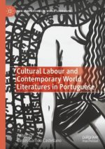 Cultural Labour and Contemporary World Literatures in Portuguese