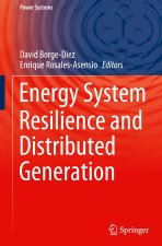 Energy System Resilience and Distributed Generation