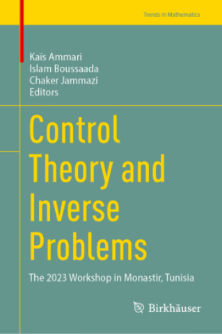 Control Theory and Inverse Problems