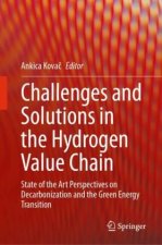 Challenges and Solutions in the Hydrogen Value Chain
