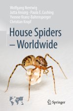 House Spiders - Worldwide
