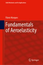 Fundamentals of Aeroelasticity