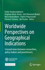 Global Perspectives on Geographical Indications
