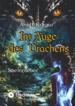 Im Auge des Drachens