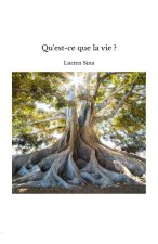 Qu'est ce que la vie?