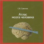 Атлас мозга человека