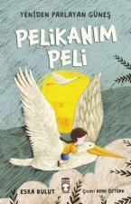 Pelikanim Peli - Yeniden Parlayan Günes