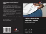 Calcoli ureterali al CHU Luxembourg Bamako