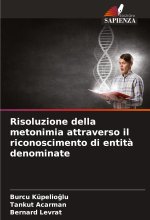 Risoluzione della metonimia attraverso il riconoscimento di entit? denominate