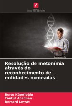 Resoluç?o de metonímia através do reconhecimento de entidades nomeadas