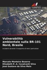 Vulnerabilit? ambientale sulla BR-101 Nord, Brasile
