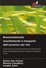 Brassinosteroid: assorbimento e trasporto dell'arsenico nel riso