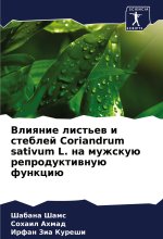 Vliqnie list'ew i steblej Coriandrum sativum L. na muzhskuü reproduktiwnuü funkciü