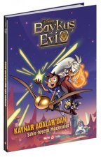 Disney Baykus Evi Kaynar Adalardan