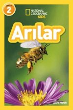 Arilar