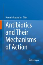 Antibiotics and Their Mechanisms of Action