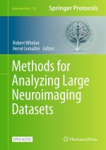 Methods for Analyzing Large Neuroimaging Datasets