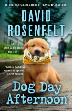 DOG DAY AFTERNOON